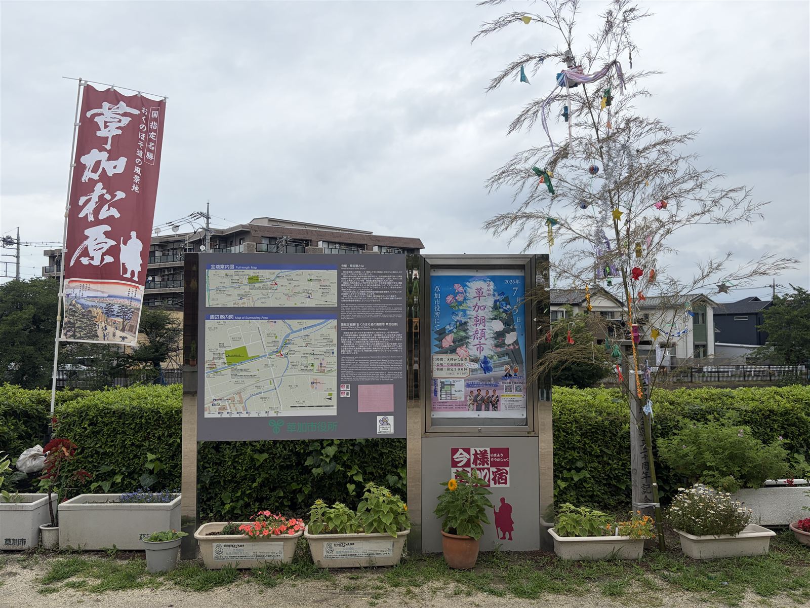 草加松原の七夕飾り。色とりどりの飾りと短冊が竹に揺れる / Tanabata decorations at Soka Matsubara — colorful ornaments and paper wish strips swaying on bamboo